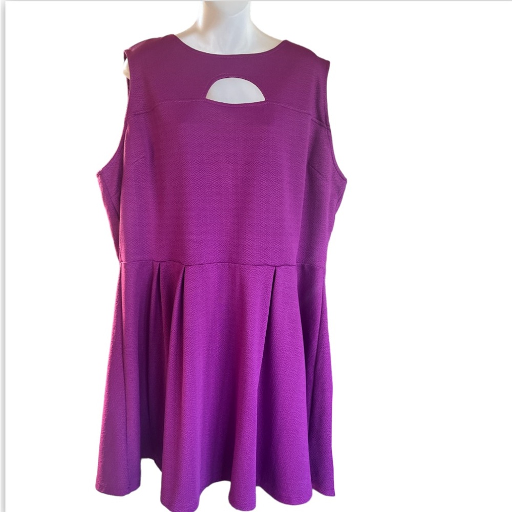 Bongo Plus Women’s Magenta Fit and Flare Sleeveless Mini Dress size 2X NWT